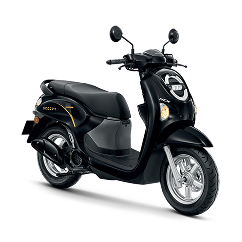 Honda Scoopy 110cc